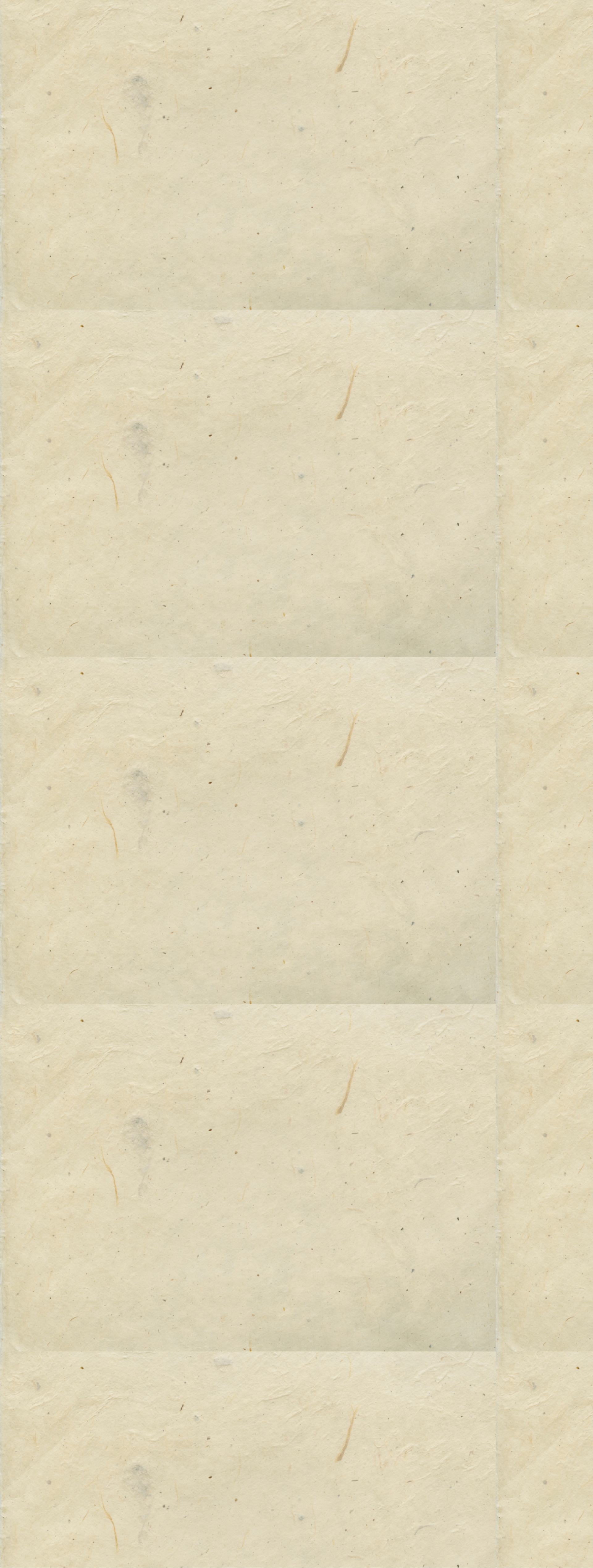 Flower background