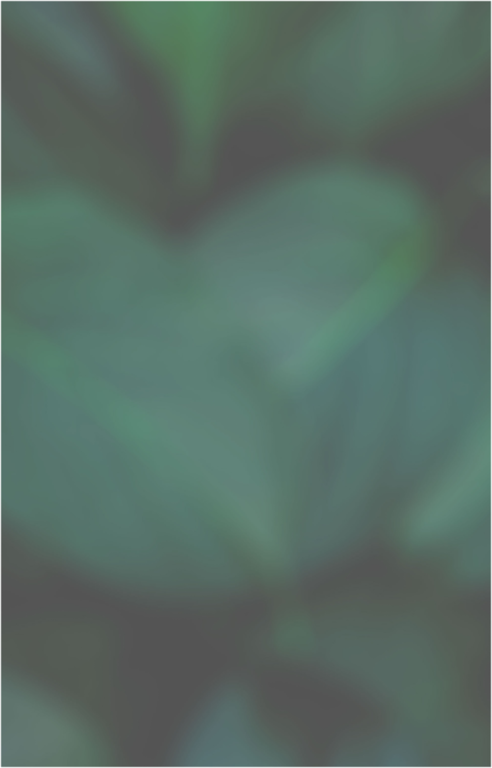 Flower background
