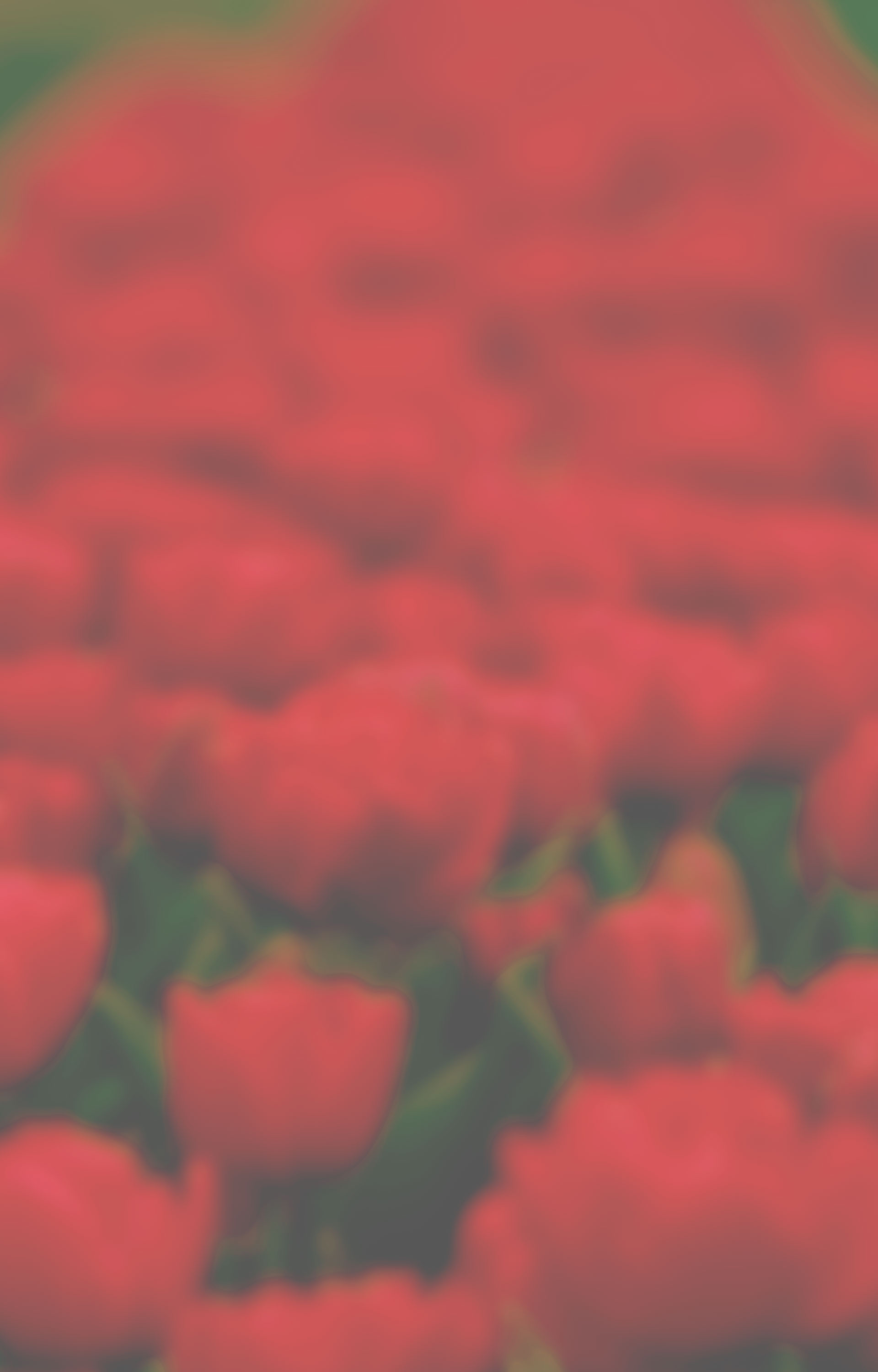 Flower background