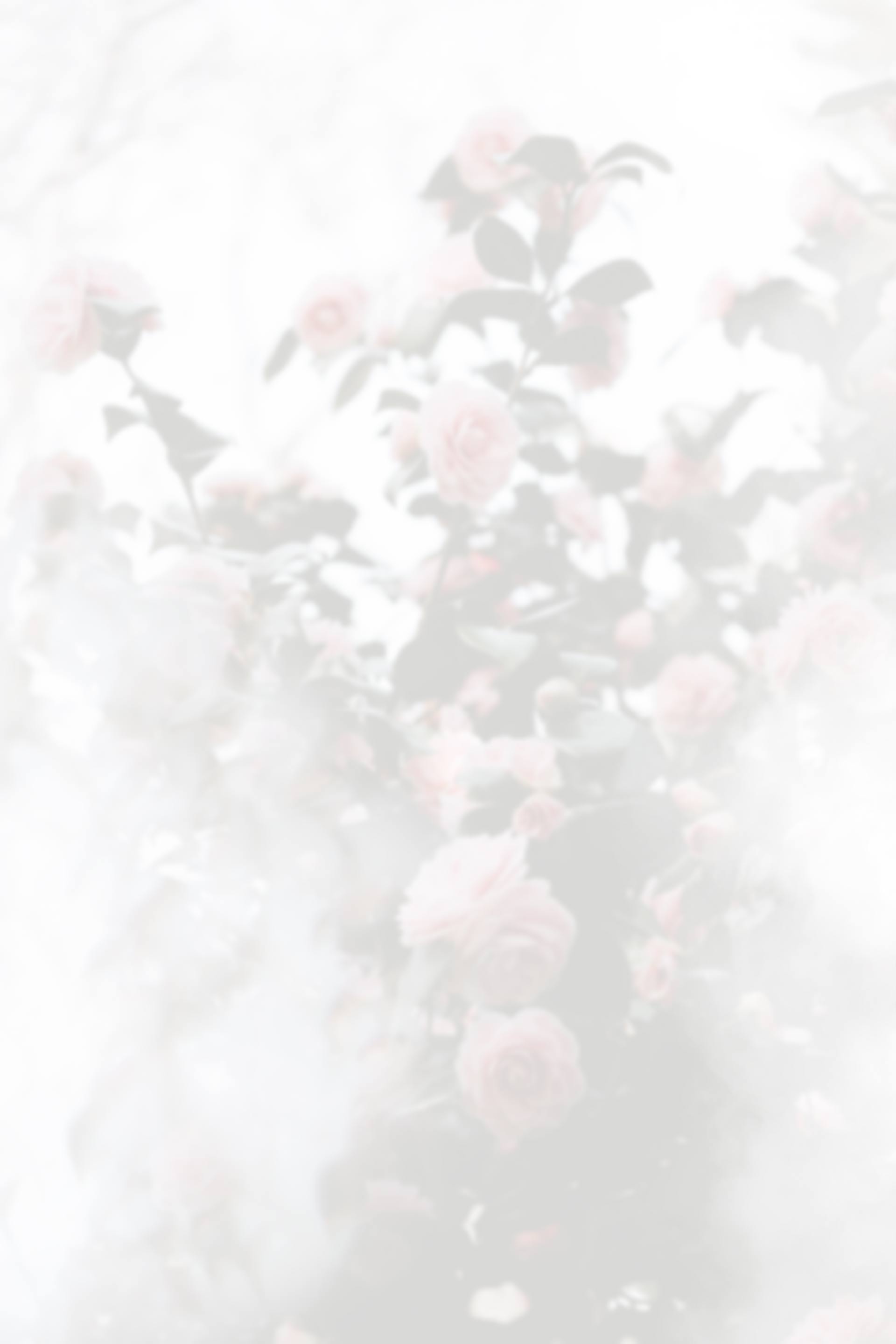 Flower background