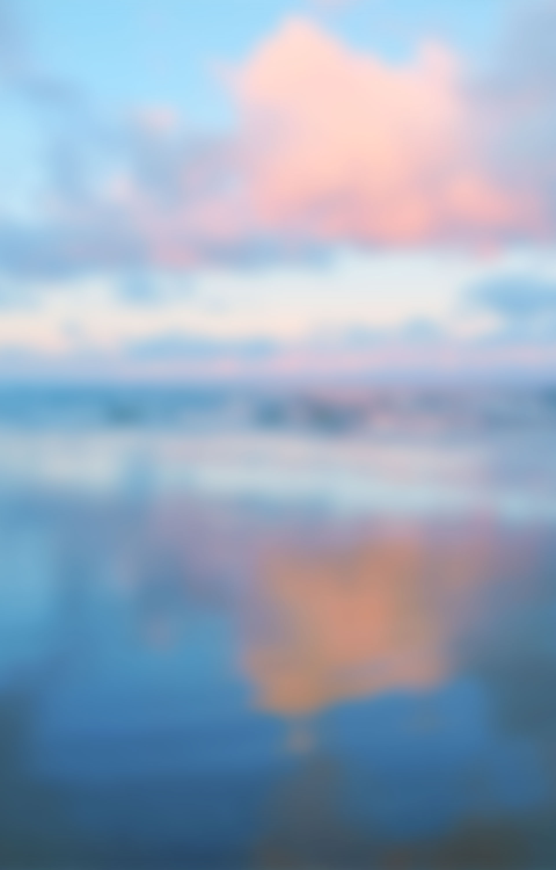 Flower background