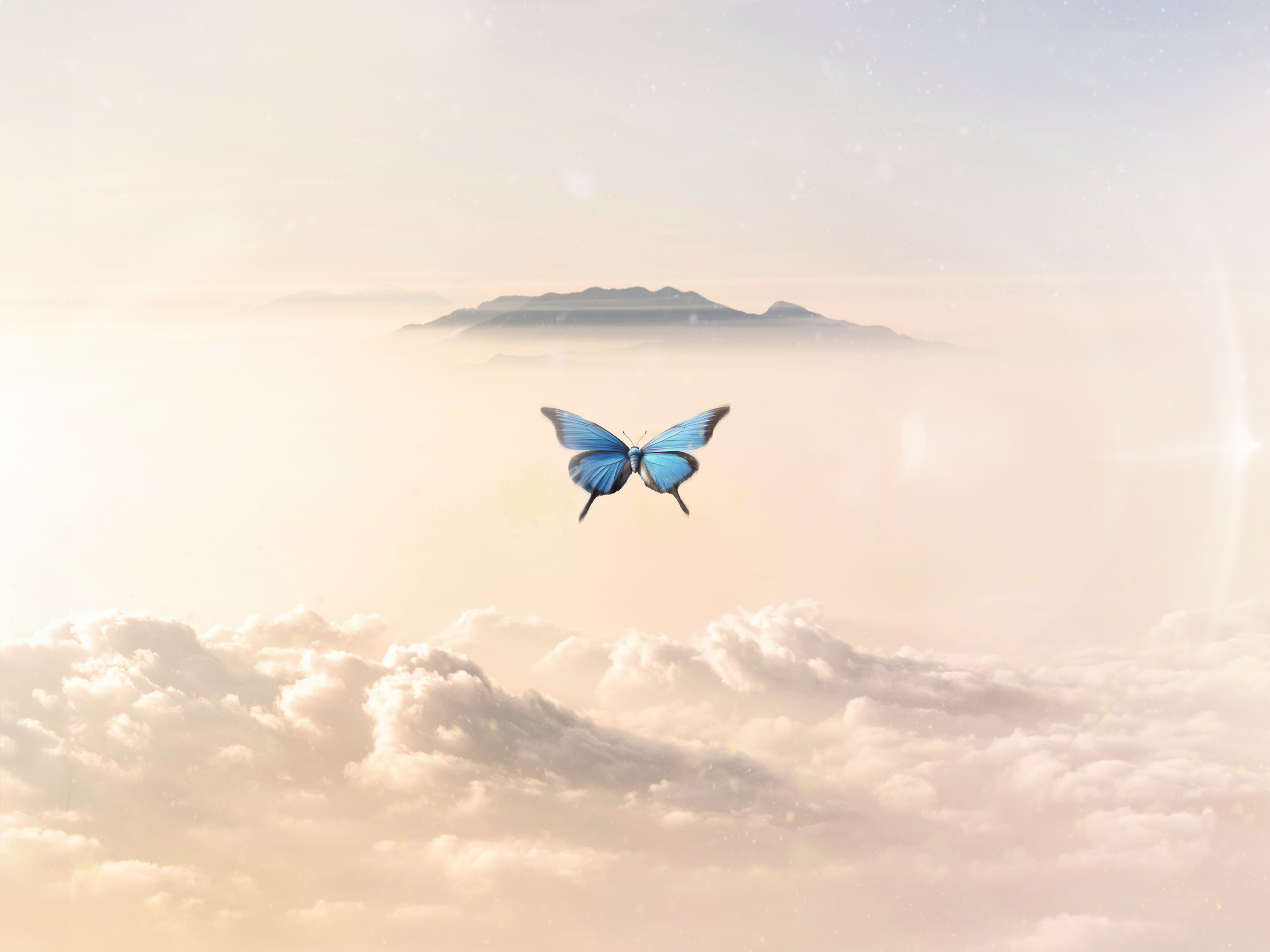Flower background