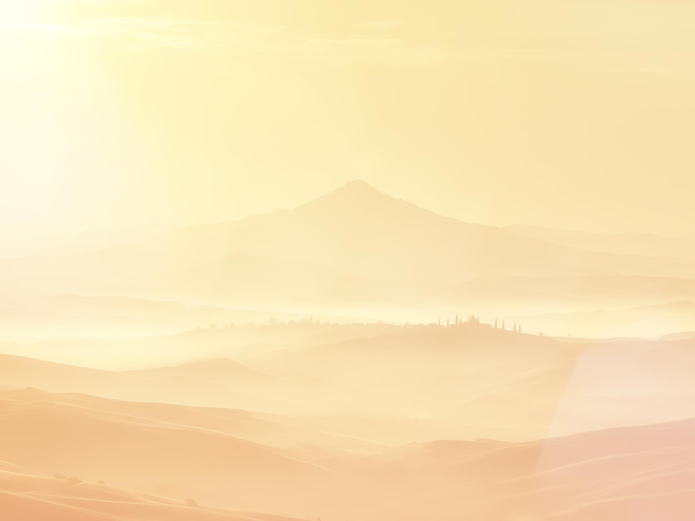 Flower background