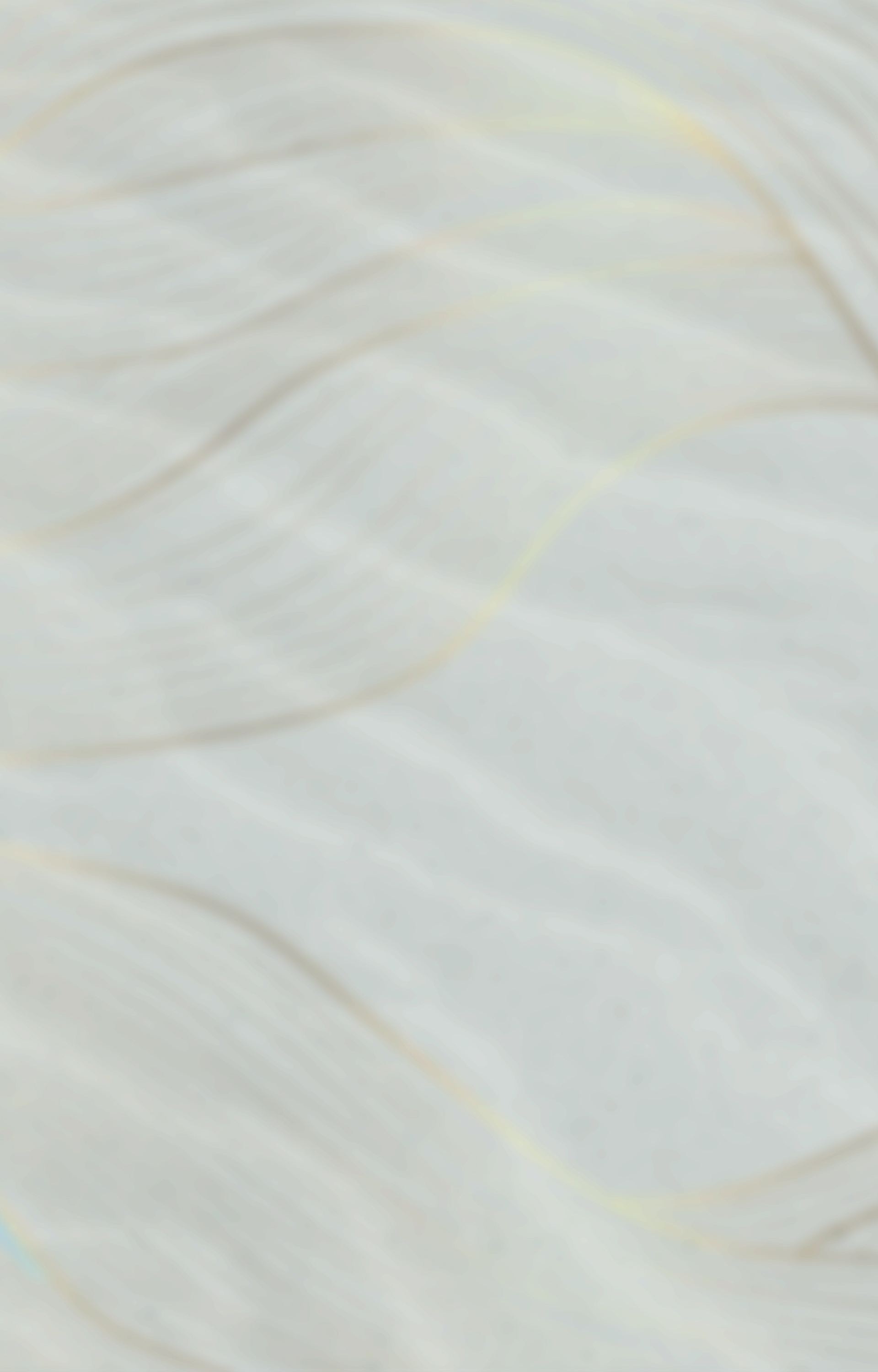 Flower background