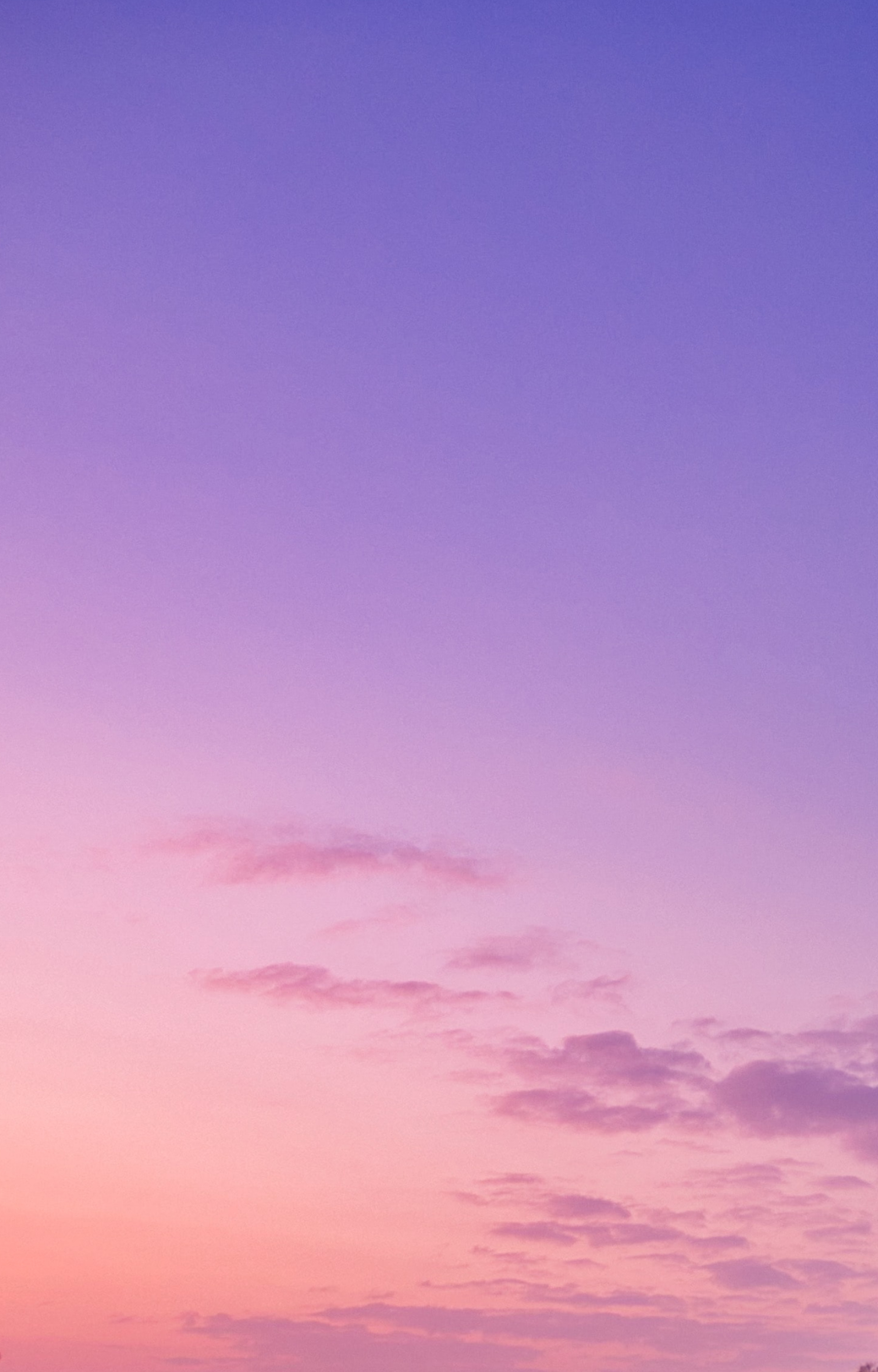 Flower background
